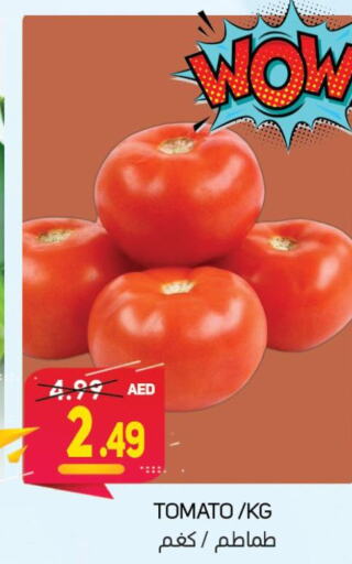  Tomato  in سوق المبارك هايبرماركت in الإمارات العربية المتحدة , الامارات - الشارقة / عجمان