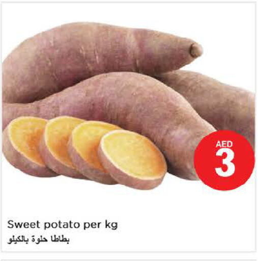  Sweet Potato  in نستو هايبرماركت in الإمارات العربية المتحدة , الامارات - أبو ظبي