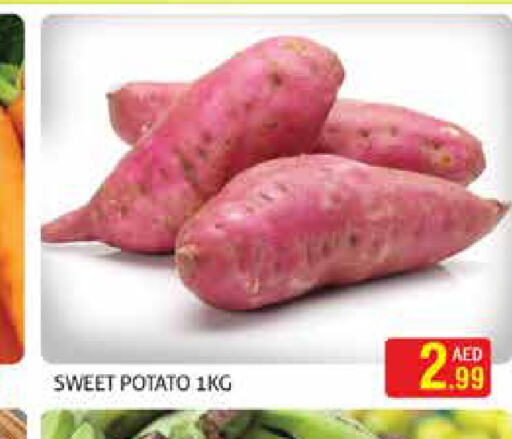  Sweet Potato  in مركز النخيل هايبرماركت in الإمارات العربية المتحدة , الامارات - الشارقة / عجمان