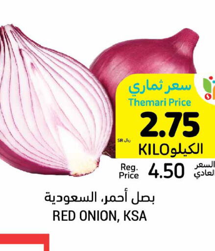  Onion  in أسواق التميمي in مملكة العربية السعودية, السعودية, سعودية - جدة