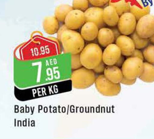  Potato  in ويست زون سوبرماركت in الإمارات العربية المتحدة , الامارات - الشارقة / عجمان