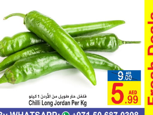  Chilli / Capsicum  in سن اند ساند هايبر ماركت ذ.م.م in الإمارات العربية المتحدة , الامارات - رَأْس ٱلْخَيْمَة