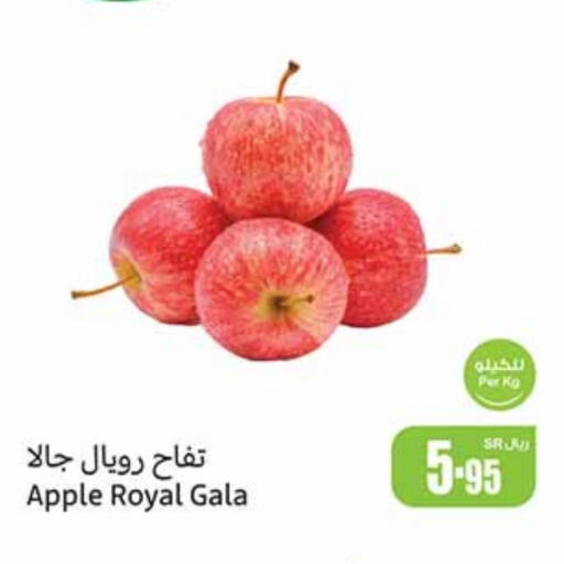  Apples  in Othaim Markets in KSA, Saudi Arabia, Saudi - Al Duwadimi