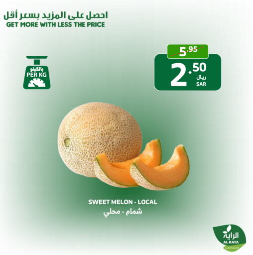  Sweet melon  in Al Raya in KSA, Saudi Arabia, Saudi - Tabuk