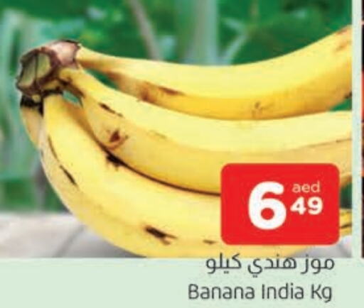  Banana  in AL MADINA in UAE - Sharjah / Ajman