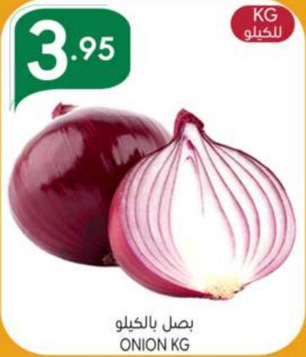  Onion  in Manuel Market in KSA, Saudi Arabia, Saudi - Riyadh