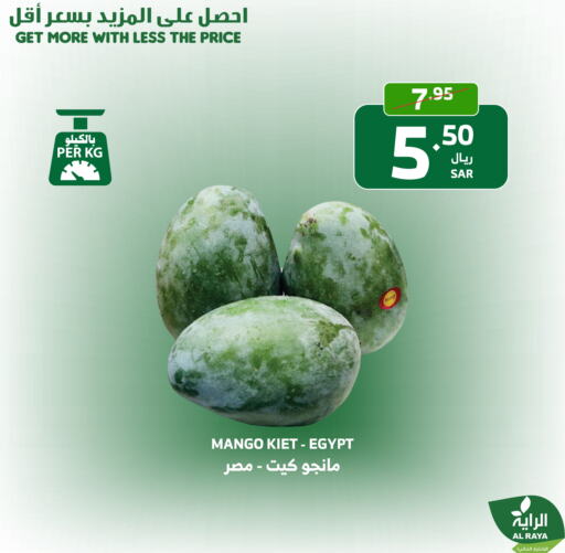  Mangoes  in Al Raya in KSA, Saudi Arabia, Saudi - Najran