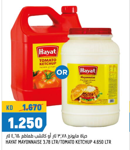 HAYAT Tomato Ketchup  in Oncost in Kuwait - Ahmadi Governorate