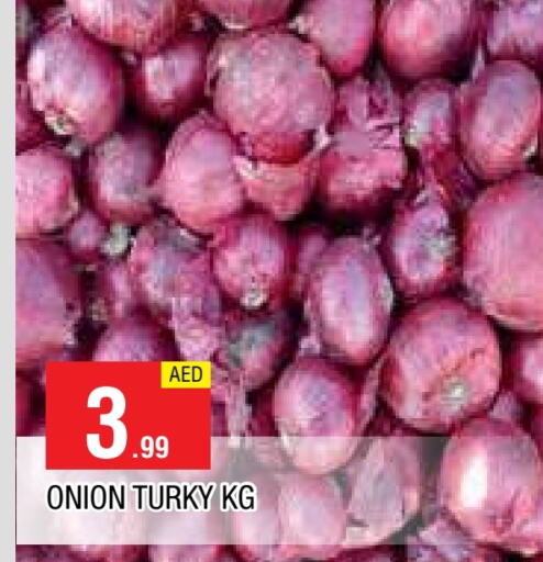  Onion  in AL MADINA in UAE - Sharjah / Ajman