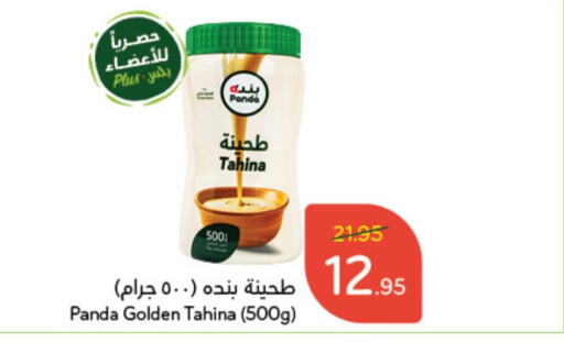  Tahina & Halawa  in Hyper Panda in KSA, Saudi Arabia, Saudi - Wadi ad Dawasir