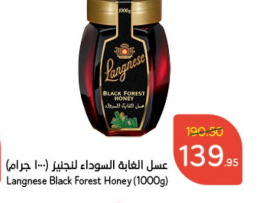  Honey  in Hyper Panda in KSA, Saudi Arabia, Saudi - Tabuk