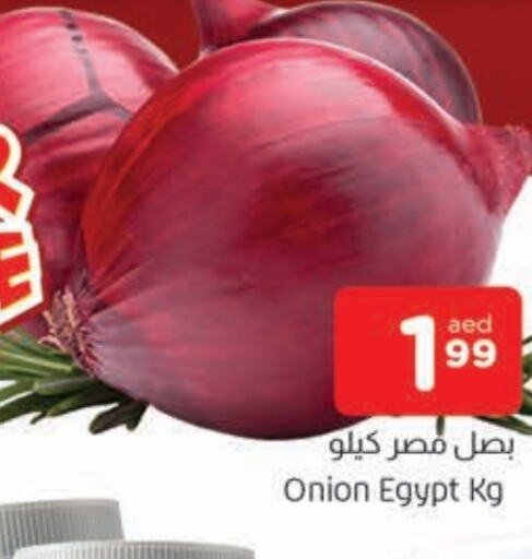  Onion  in AL MADINA in UAE - Sharjah / Ajman