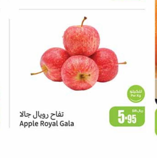  Apples  in Othaim Markets in KSA, Saudi Arabia, Saudi - Khafji