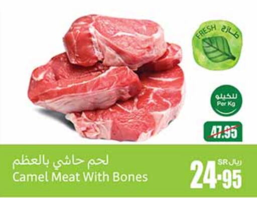  Camel meat  in Othaim Markets in KSA, Saudi Arabia, Saudi - Tabuk