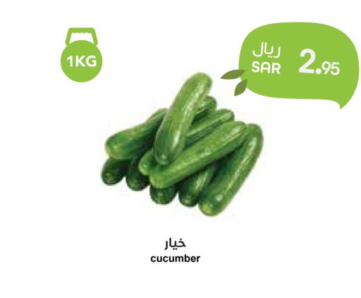  Cucumber  in Consumer Oasis in KSA, Saudi Arabia, Saudi - Dammam