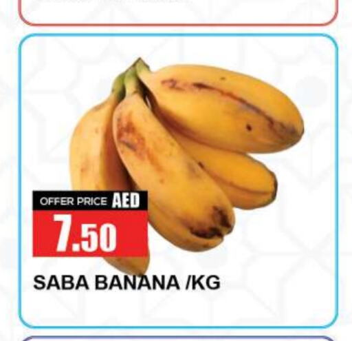  Banana  in Quick Supermarket in UAE - Sharjah / Ajman