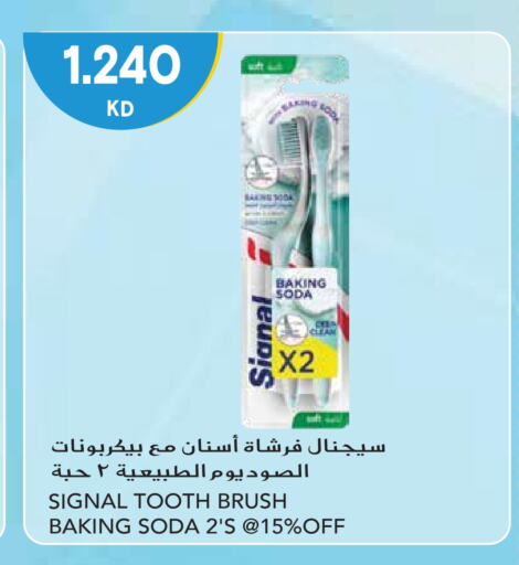 SIGNAL Toothbrush  in Grand Hyper in Kuwait - Ahmadi Governorate