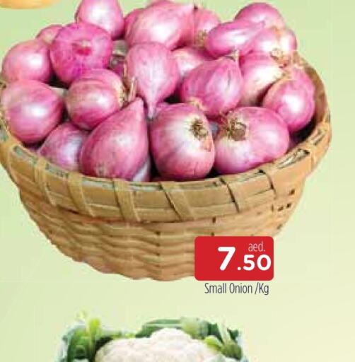  Onion  in AL MADINA in UAE - Sharjah / Ajman