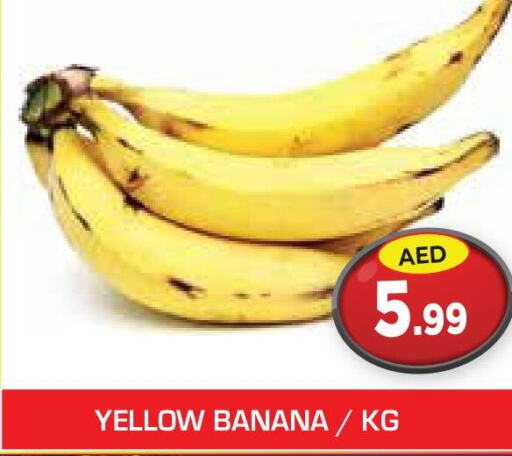  Banana  in Baniyas Spike  in UAE - Sharjah / Ajman