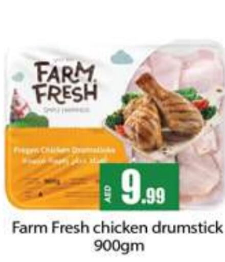 FARM FRESH Chicken Drumsticks  in Gulf Hypermarket LLC in UAE - Ras al Khaimah