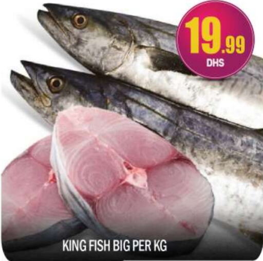  King Fish  in BIGmart in UAE - Dubai