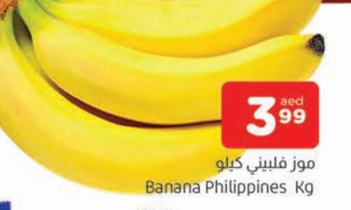  Banana  in AL MADINA in UAE - Sharjah / Ajman