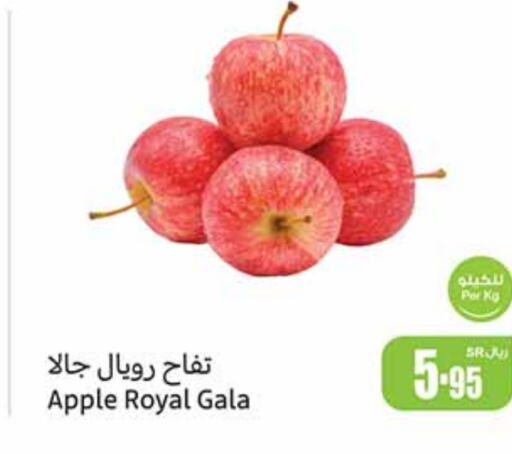  Apples  in Othaim Markets in KSA, Saudi Arabia, Saudi - Riyadh