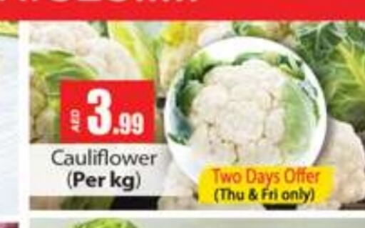  Cauliflower  in Gulf Hypermarket LLC in UAE - Ras al Khaimah