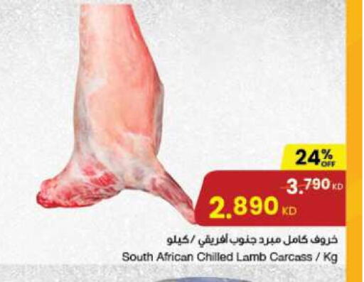  لحم الضأن / الغنم  in مركز سلطان in الكويت - مدينة الكويت