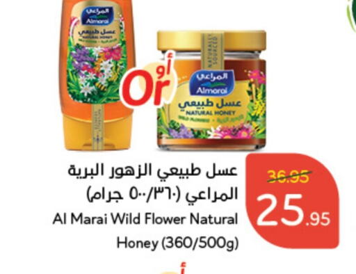 ALMARAI Honey  in Hyper Panda in KSA, Saudi Arabia, Saudi - Tabuk