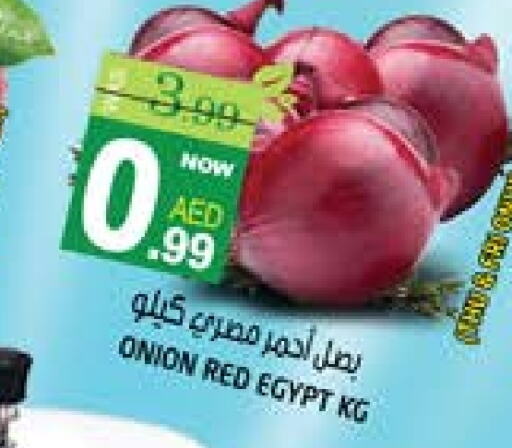  Onion  in Hashim Hypermarket in UAE - Sharjah / Ajman