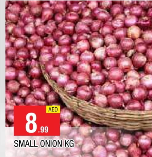  Onion  in AL MADINA in UAE - Sharjah / Ajman