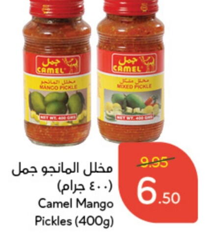  Pickle  in Hyper Panda in KSA, Saudi Arabia, Saudi - Najran