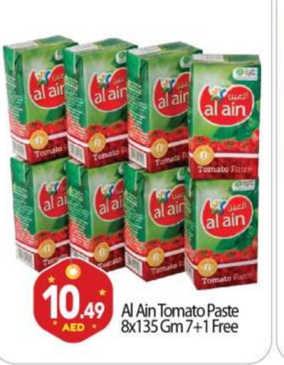  Tomato Paste  in BIGmart in UAE - Dubai