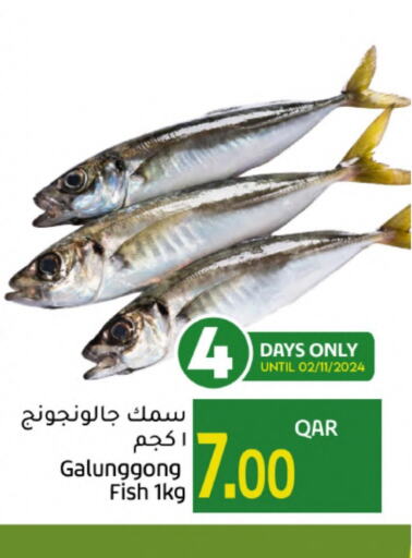    in Gulf Food Center in Qatar - Al Rayyan