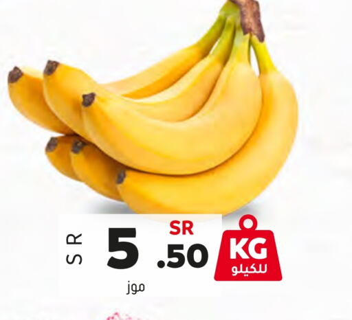  Banana  in Al Amer Market in KSA, Saudi Arabia, Saudi - Al Hasa