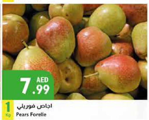  Pear  in Istanbul Supermarket in UAE - Al Ain