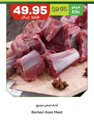  Mutton / Lamb  in Astra Markets in KSA, Saudi Arabia, Saudi - Tabuk