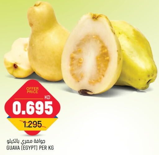  Guava  in Oncost in Kuwait - Jahra Governorate