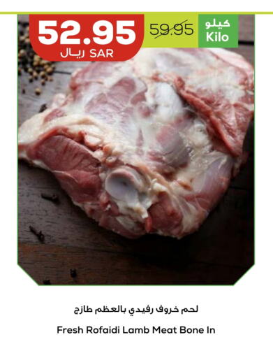  Mutton / Lamb  in Astra Markets in KSA, Saudi Arabia, Saudi - Tabuk