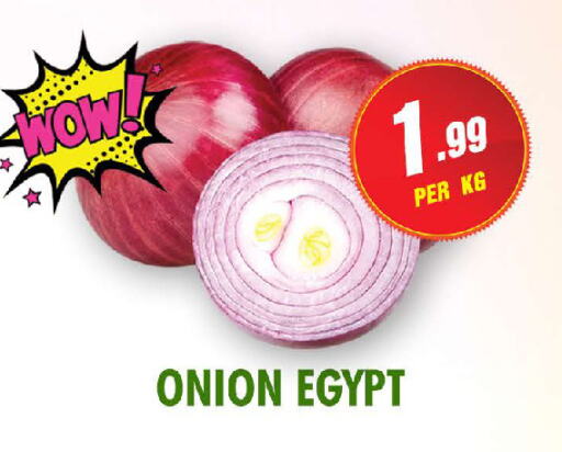  Onion  in نايت تو نايت in الإمارات العربية المتحدة , الامارات - الشارقة / عجمان