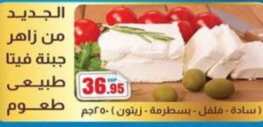  Feta  in Zaher Dairy in Egypt - Cairo