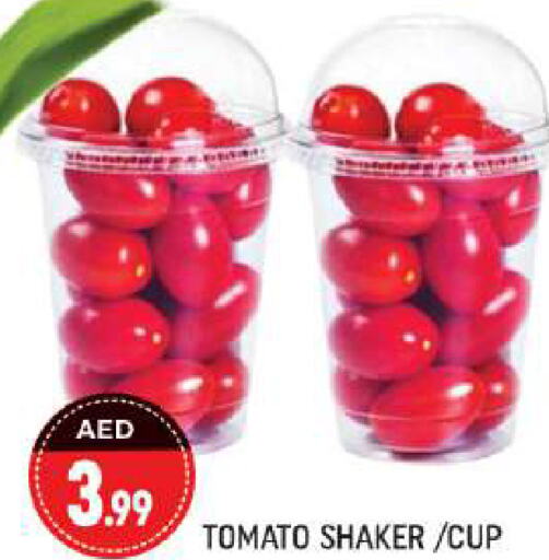  Tomato  in شكلان ماركت in الإمارات العربية المتحدة , الامارات - دبي