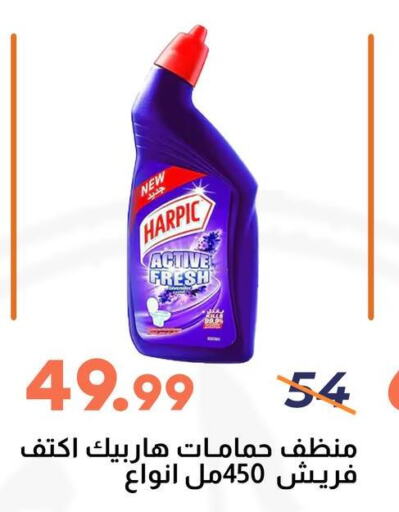 HARPIC Toilet / Drain Cleaner  in Ghallab Market in Egypt - Cairo