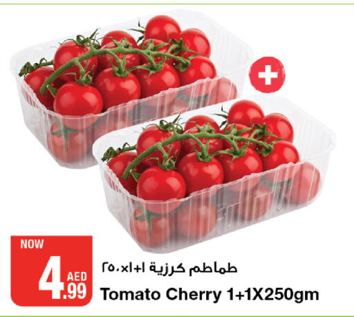  Tomato  in Emirates Co-Operative Society in UAE - Dubai