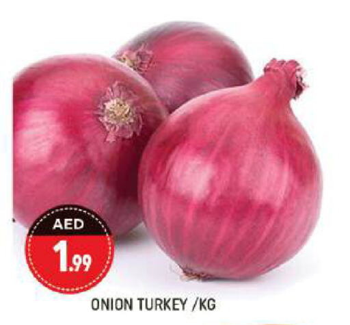  Onion  in Shaklan  in UAE - Dubai