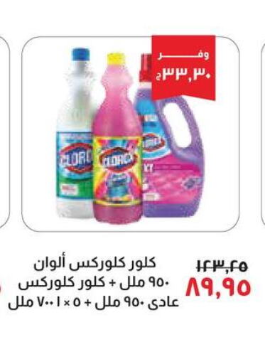 CLOROX منظف عام  in خير زمان in Egypt - القاهرة