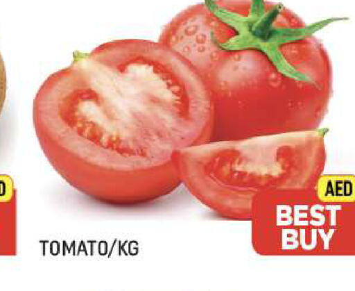  Tomato  in المدينة in الإمارات العربية المتحدة , الامارات - دبي