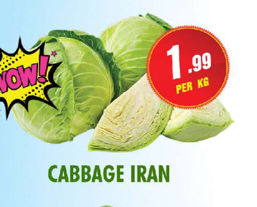  Cabbage  in نايت تو نايت in الإمارات العربية المتحدة , الامارات - الشارقة / عجمان