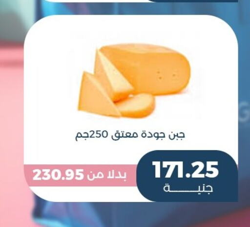  Gouda  in Flamingo Hyper Market in Egypt - Cairo